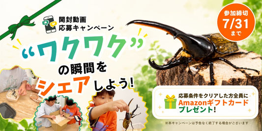 開封動画応募キャンペーン2026