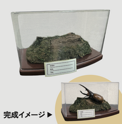 標本関連商品