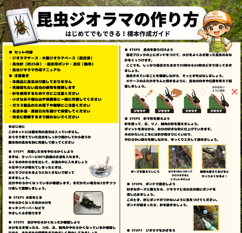 ④ 失敗を防ぐ丁寧な「昆虫ジオラママニュアル」