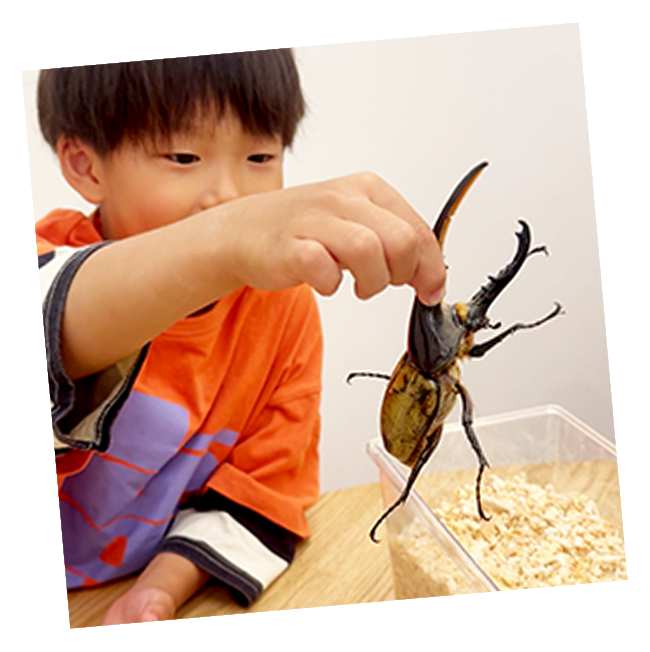 ヘラクレスを持つ子ども